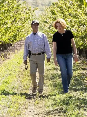 Orchard view family walking in cherry orchard