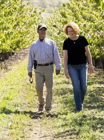 Orchard view family walking in cherry orchard